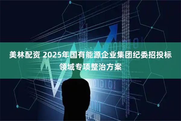 美林配资 2025年国有能源企业集团纪委招投标领域专项整治方案