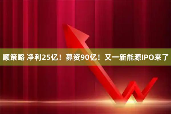 顺策略 净利25亿！募资90亿！又一新能源IPO来了